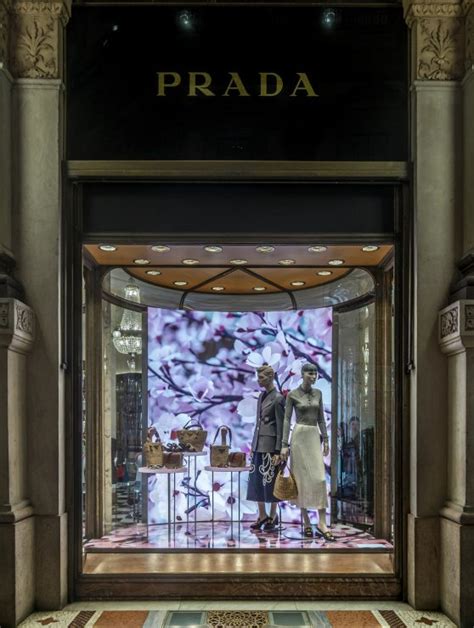 prada blossom|Prada store window designs.